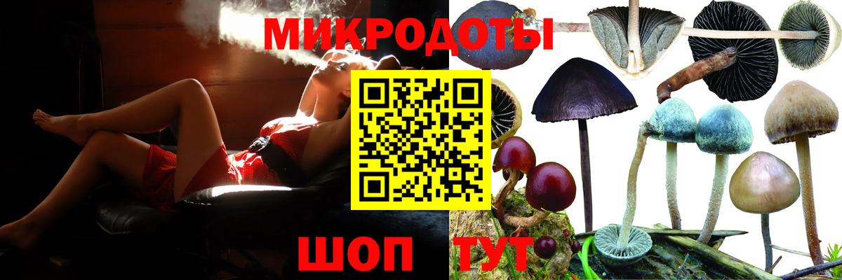 Ставрополь  Галлюциногенные грибы Cubensis  Вход с VPN 