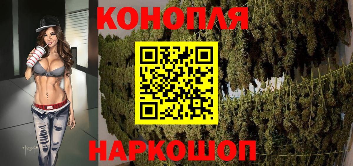 Канабис семена  Бошки Шишки конопля  Конопля марихуана  Бошки Шишки OG Kush  Вход с VPN  Ставрополь 
